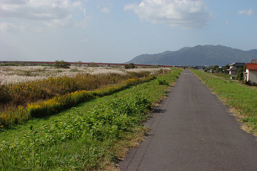 f0007926_10533956.jpg