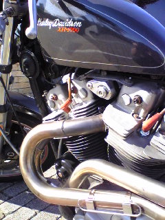 a0099129_2158322.jpg
