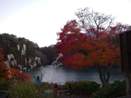 e0008833_9403136.jpg