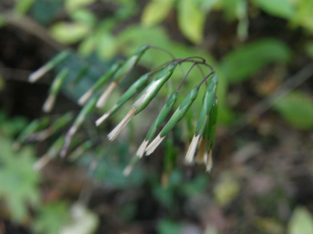 e0145033_21294150.jpg