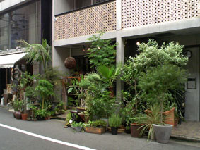 b0137240_1522692.jpg