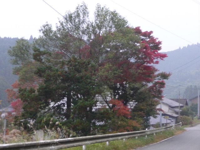 f0198253_16461729.jpg