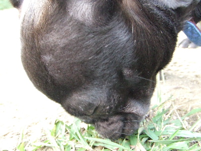 e0126054_10293643.jpg