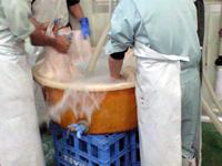 e0151758_1723354.jpg