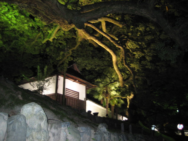 e0116960_22453435.jpg