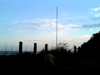 c0077964_9573114.jpg