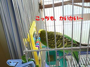 f0196665_1601831.jpg