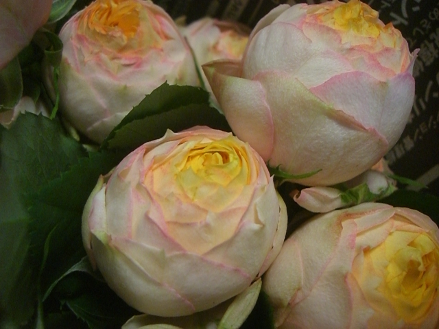 b0119969_15413836.jpg