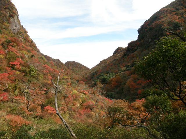 c0042869_18281831.jpg