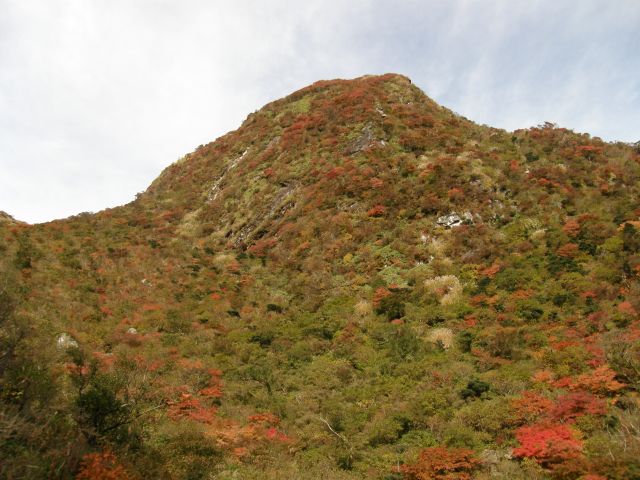 c0042869_18284286.jpg
