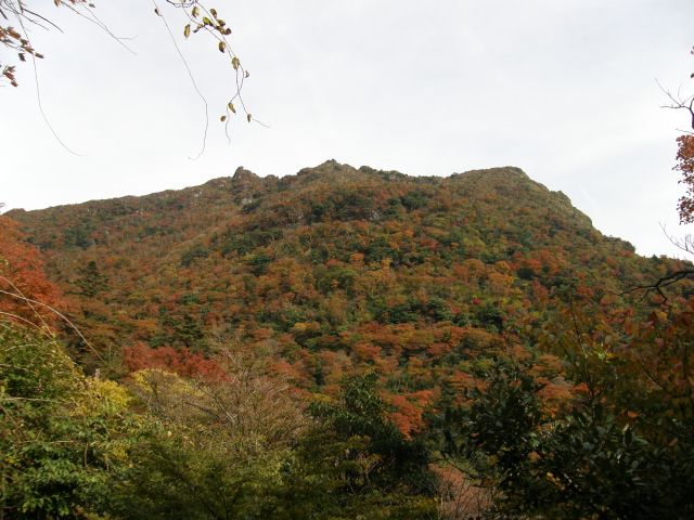 c0042869_18304852.jpg