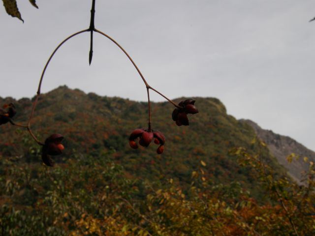 c0042869_18312942.jpg