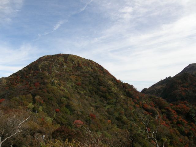 c0042869_18355022.jpg