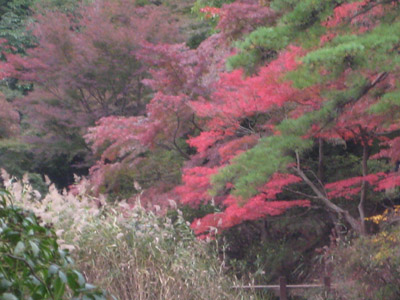 c0117570_18431257.jpg