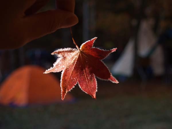 c0122670_234816.jpg
