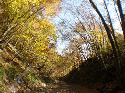 c0122670_23541839.jpg