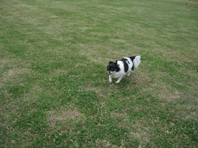 d0070473_1293067.jpg
