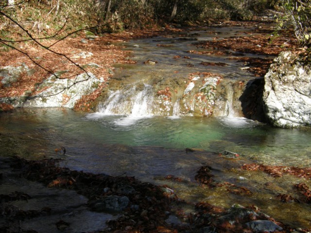 d0134473_14134654.jpg