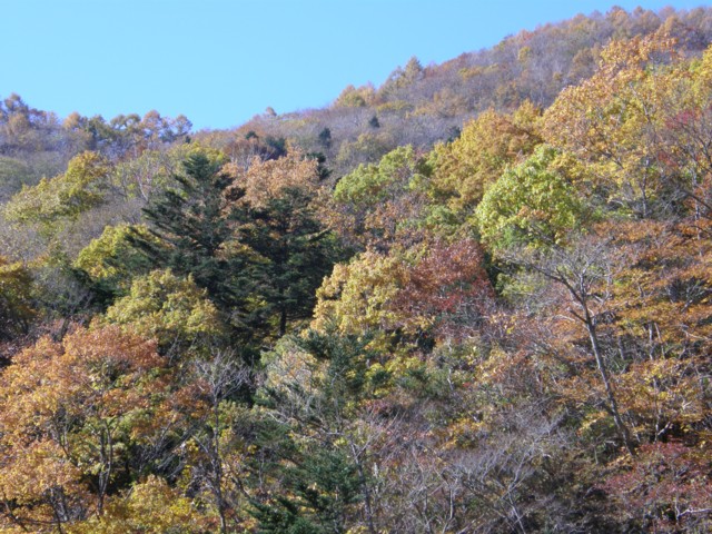 d0134473_14184585.jpg