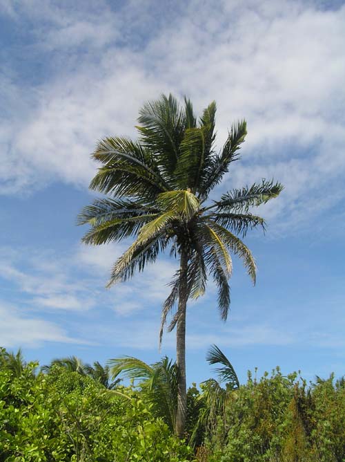 e0147575_21572799.jpg