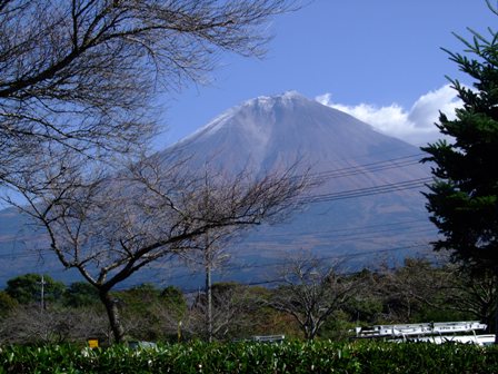 c0078480_057354.jpg