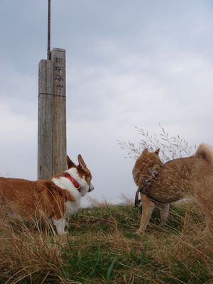 e0012580_9244294.jpg
