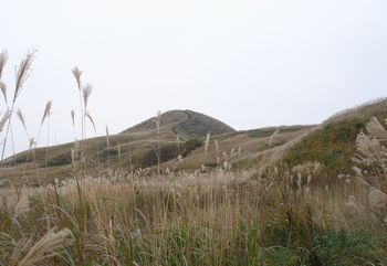 e0012580_9265870.jpg