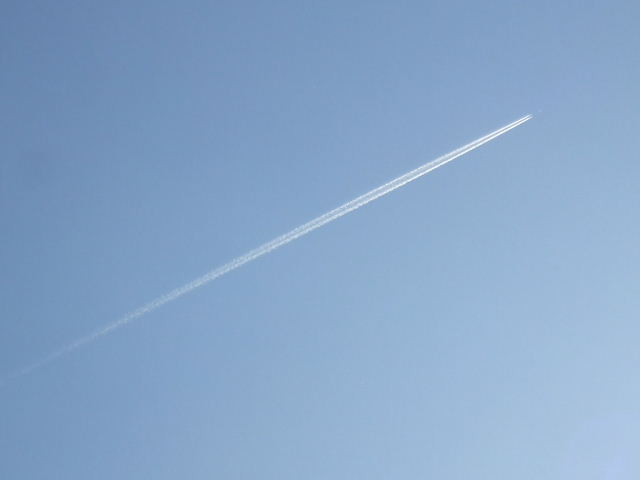 f0005081_20415977.jpg