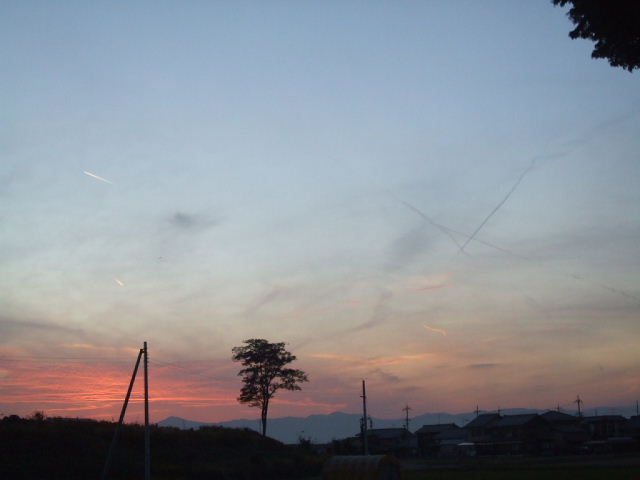 f0005081_20445671.jpg