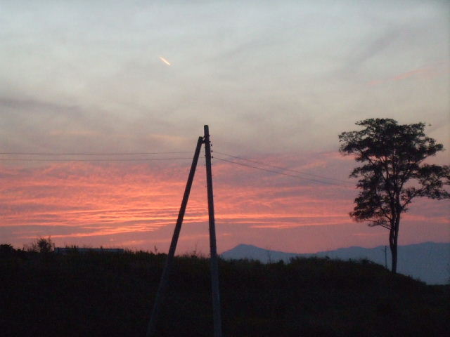 f0005081_20452255.jpg