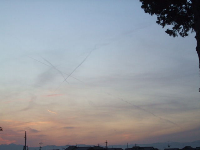 f0005081_2048682.jpg