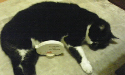 c0023782_21133867.jpg