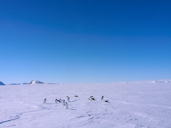a0053783_1291950.jpg