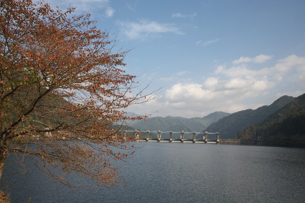 a0076683_5342115.jpg