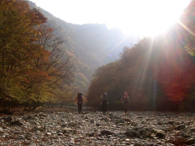 e0129083_2055717.jpg