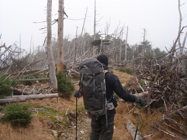 e0129083_2172757.jpg