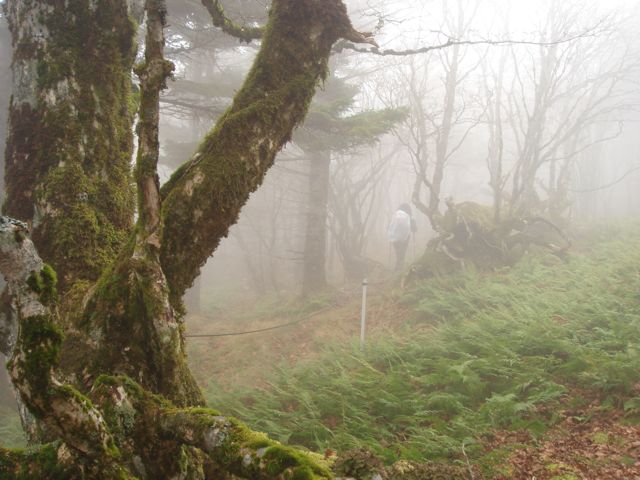 e0129083_2175464.jpg