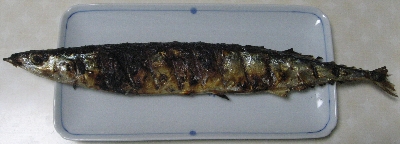 f0003283_201967.jpg