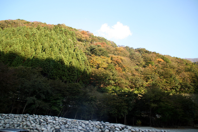 d0151787_2218491.jpg