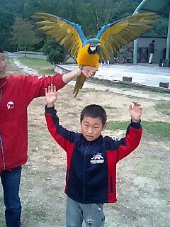 a0040792_2175710.jpg