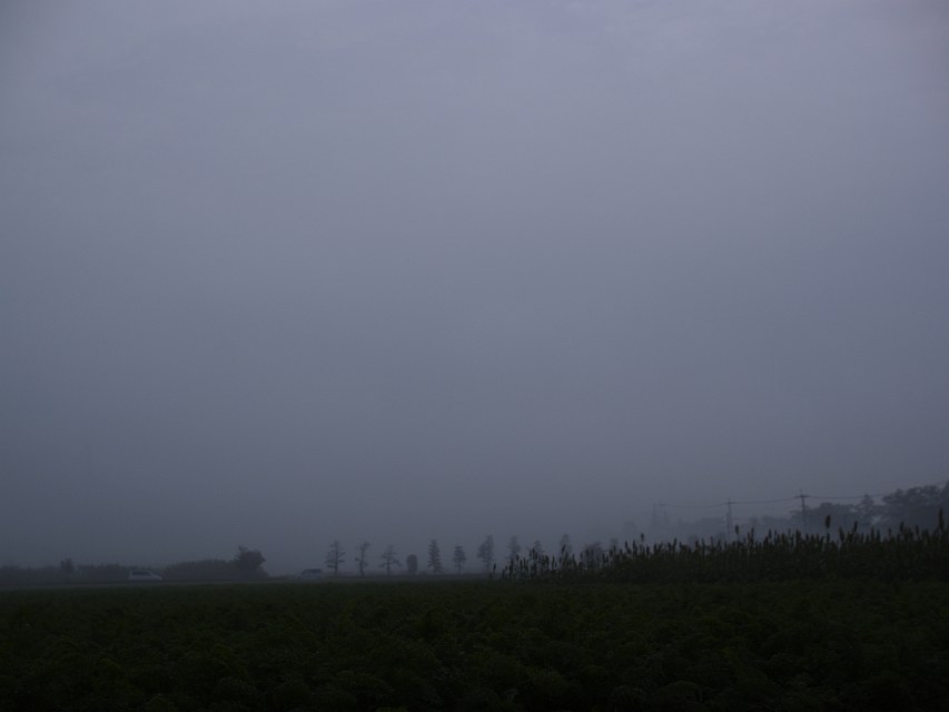 c0136092_0555495.jpg
