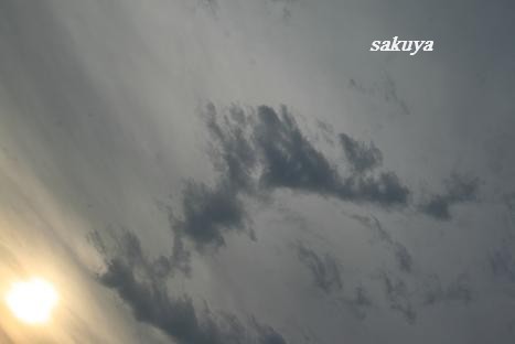 e0122194_2019518.jpg