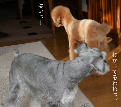 f0001895_1639049.jpg