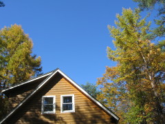 e0049598_1739232.jpg