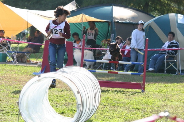 c0044199_225123.jpg