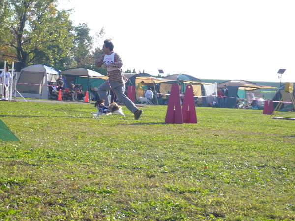 c0044199_22523485.jpg