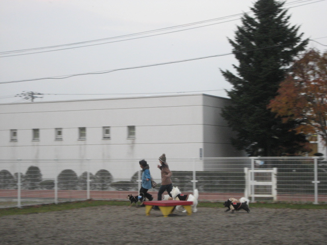 d0009101_18185330.jpg