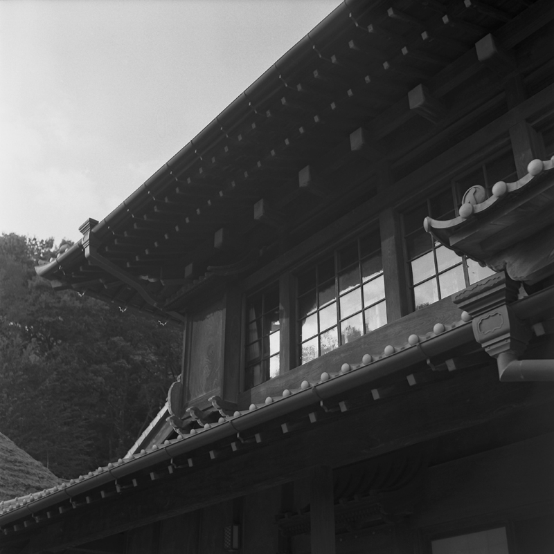 f0109201_982829.jpg