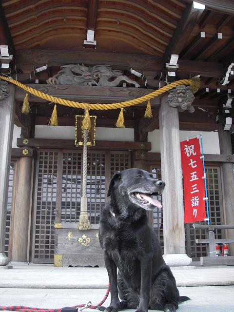 f0034602_18242790.jpg