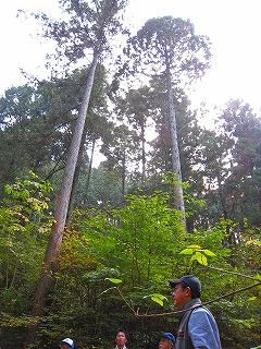 e0002820_611668.jpg